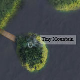 Tiny Mountain